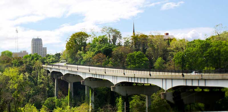 A bridge surrounded by trees with a tall building in the background